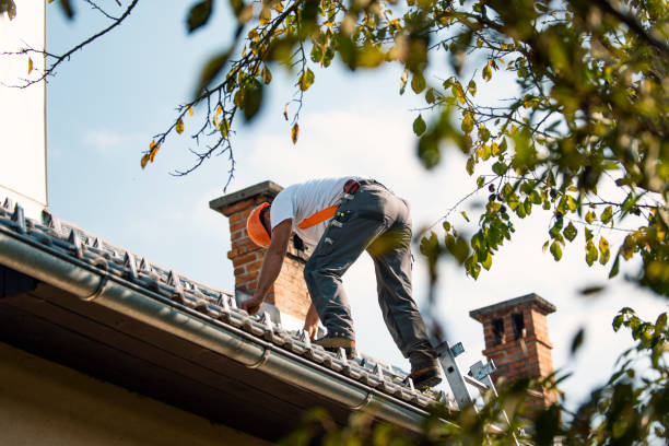 Best Roof Maintenance Services  in New Baden, IL